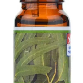 Kozák Vonná esence – Eukalypt – 10 ml – Michal