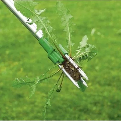 94a79dfdba894901f659634b6bf22fbb