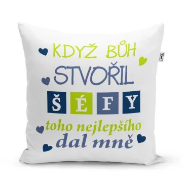 Sablio Polštář Když Bůh stvořil šéfy: 40×40 cm