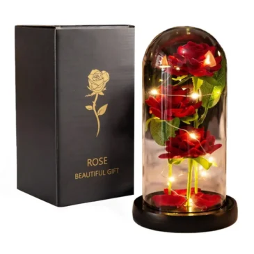 DexXer Sada 3 věčných růží ve skle s LED osvětlením Eternal Rose