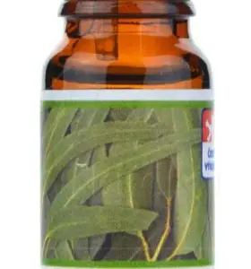 Vonná esence - Eukalypt - 10 ml - Michal