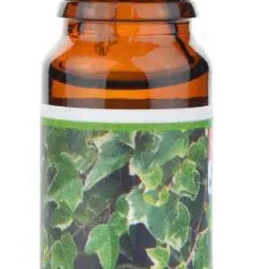 Vonná esence - Břečťan - 10 ml - Michal