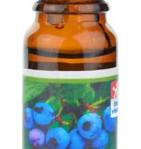 Vonná esence - Borůvka - 10 ml - Michal