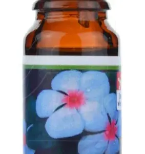 Vonná esence - Brčál - 10 ml - Michal