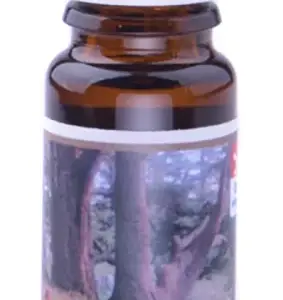 Vonná esence 10 ml - Cedrové dřevo