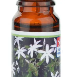 Vonná esence - Jasmín - 10 ml - Michal